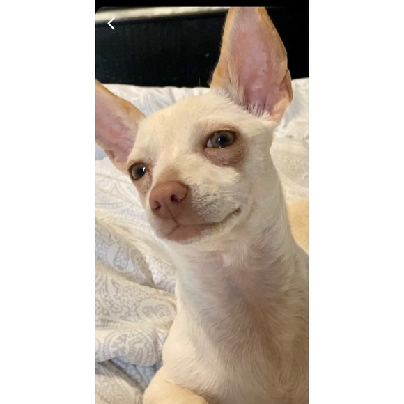 Meet your Posher, Marisol - Picture 1 of 1